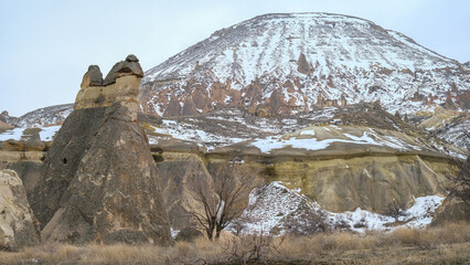 Beautiful shot of Pasabag Monks Valley in Cappadocia, Turkey