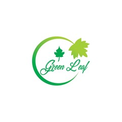 Vector illustration  green Leaf. Health care, beauty, domestic or natural food logo template