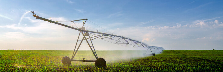 Agricultural irrigation system watering corn field in summer - 494083203