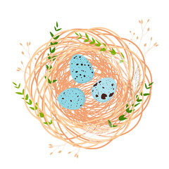 A cute bird's nest with small eggs inside. Easter card. Spring background. Frame, wreath with a feather. Vector illustration. isolated on a white background.