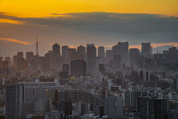 夕暮れに照らされた東京の町並み