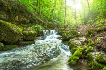 Fotobehang Beautiful landscape of a river flowing in a bright green forest with a soft sunlight © Robert Grunder/Wirestock Creators