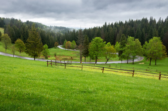 countryside landscape on an overcast day. agriculture field behind the wooden fence. spruce forest on the grassy hill. low clouds hiding the distant mountain