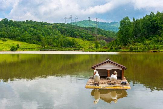 landscape with swans on the mountain lake. scenic reflection in the water. idyllic nature background in summer. beautiful white birds in peaceful outdoor scenery