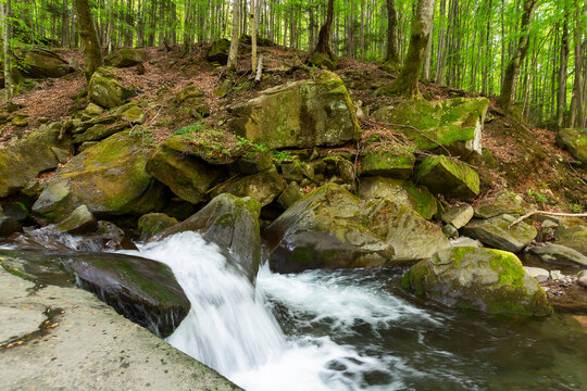 shypot stream in the forest. refreshing scenery in springtime. water flowth through rocks and boulders. beech forest on the hill
