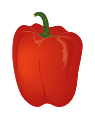 red pepper vegetable icon