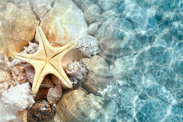 Fototapeta na wymiar Starfish and seashell on the summer beach in sea water. Summer background.