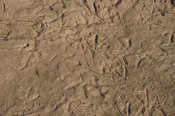 Schlammige feuchte Erde mit Muster bei Sonne im Frühling