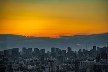 Fototapeta premium 夕暮れに照らされた東京の町並み