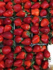 strawberries in a market