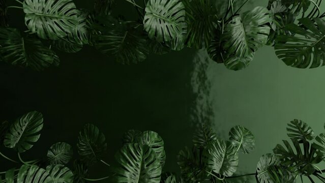 Jungle background, Top view tropical leaves moving on green water backdrop. 3d render. Seamless loop.