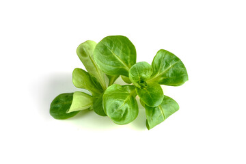 Spinach salad, isolated on white background.