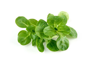 Spinach salad, isolated on white background.