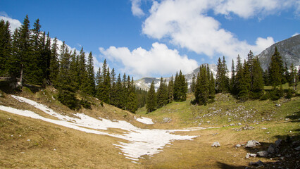 Fototapeta na wymiar Melting snow during spring in the mountains