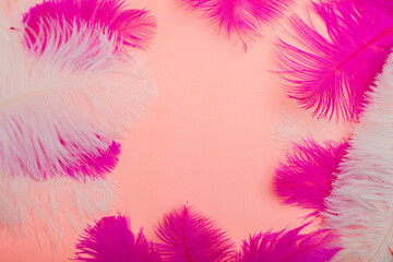 white ostrich feathers on pink background, top view, delicate feather texture, background.