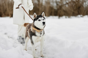woman with dog winter landscape walk friendship winter holidays