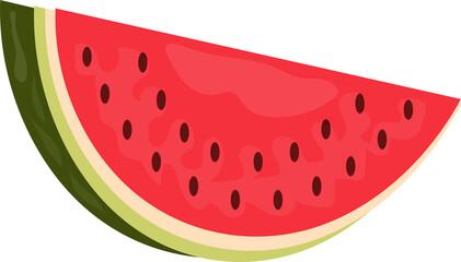 piece of ripe a watermelon summer illustration