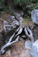 Mist trail hiking to vernal fall