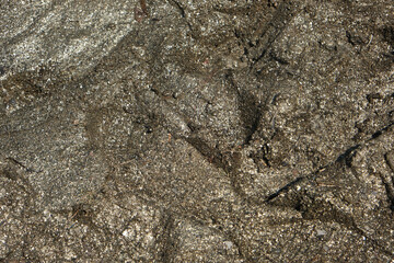 Gold soil on the lake