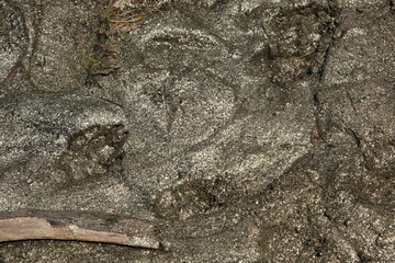 Gold soil on the lake