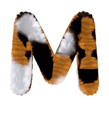Calico Themed Font  Letter M