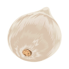 onion vegetable icon