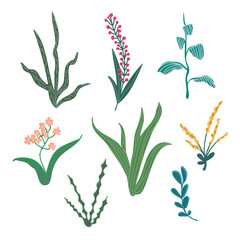 Set of flowers and houseplants in doodle style. Vector illustration for decor.