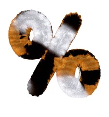 Calico Themed Font  Percent Sign