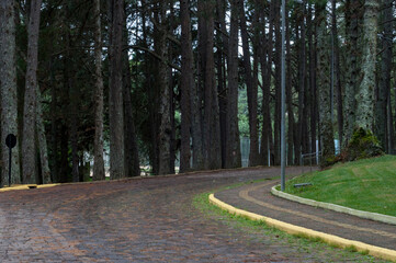Photograph of a path in the park on a cloudy day
