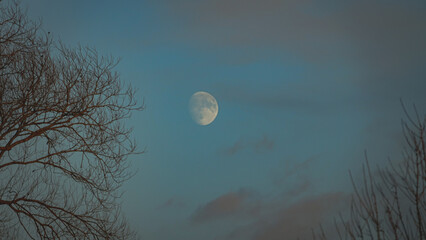 moon over the sky