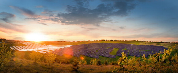 big panoramic view of solar panels field at sunset, glare bokeh at evening sky, alternative energy concept