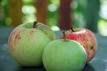 Green apples with a red side. On a dark green table against the background of a wooden fence and greenery lie fallen apples of green-red color and medium size. The fruits are starting to turn red.