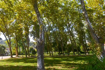 Mouchão-Park in Tomar, Portugal