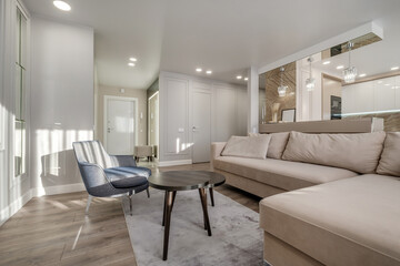 Fototapeta na wymiar Interior of expensive living room in studio apartments or flat with sofa