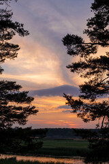 Fototapeta na wymiar Red, golden colors of clouds and silhouette of trees. Pine branches with needles on the sides and a beautiful sunset over the river.