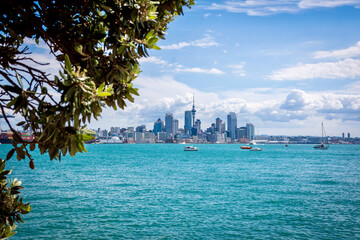 Overlooking the Auckland Skyline on a late summer day across the harbour from Devonport - obrazy, fototapety, plakaty