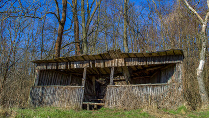 Fototapeta na wymiar eine alte Holzhütte im Wald