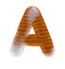 Orange Tabby Cat Themed Font Letter A