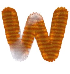 Orange Tabby Cat Themed Font Letter W