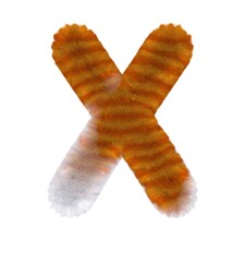 Orange Tabby Cat Themed Font Letter X
