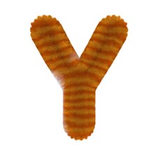 Orange Tabby Cat Themed Font Letter Y