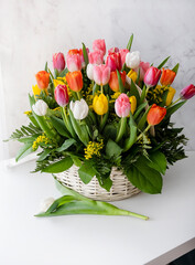 Fresh multicolored tulip bouquet in basket. Gift for Valentine's Day or Women's Day. Romantic happy birthday concept. Light background.