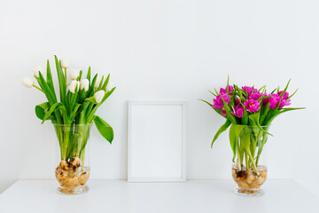 Two bouquets of white and purple tulips on the table