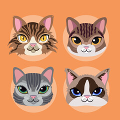 Set of differents illustrations of cats's faces and breeds
