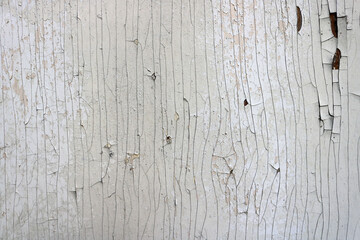 cracked wood texture and peeling white paint on the weathered surface with beautiful irregular grooves - beige and fawn tones