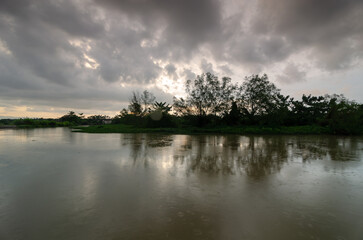 Reflection of mangrove trees at river