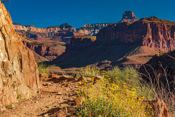 A trail along the cliff in the Grand Canyon National Park