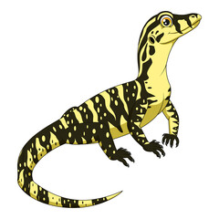 Cartoon varanus salvator on white background