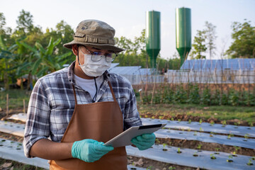 Modern gardeners use tablets to store crop data in their gardens.