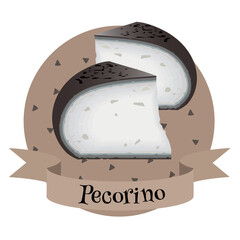 Pecorino italian cheese.. Colorful illustration for cafe and restaurant menu.